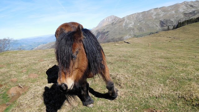 Ruta por Aralar: Aia - Lizarrusti – Sarastarri – Agaotz