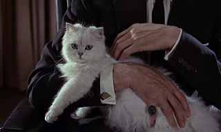 Nameless fluffy white cat from several James Bond Movies