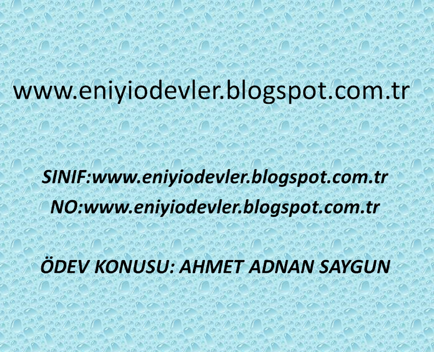 Ahmet Adnan Saygun Hayat Hikayesi Slaytı