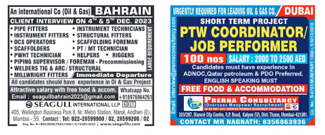 Abroad Assignment Times Jobs Paper Today, 02 December 2023