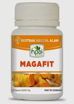 MAGAFIT HPAI  081230855989  jual stokis toko herbal agen 