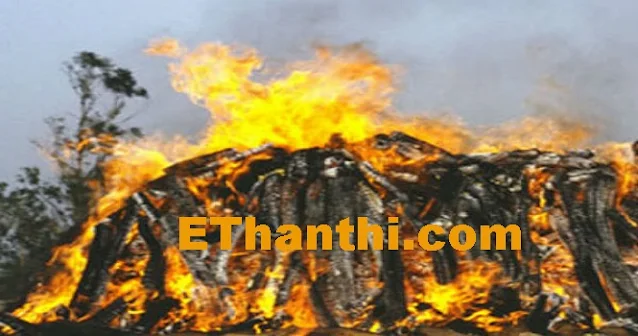 பீகாரில் உடன் கட்டை ஏறிய மூதாட்டி !