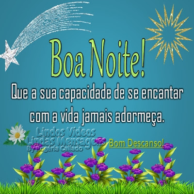 Boa noite! Que a sua capacidade de se encantar  com a vida jamais adormeça. Bom Descanso!