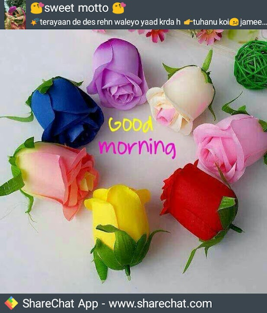 Good Morning with flowers