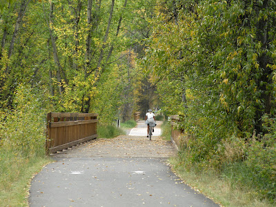 Fall colors in the Rocky Mountains