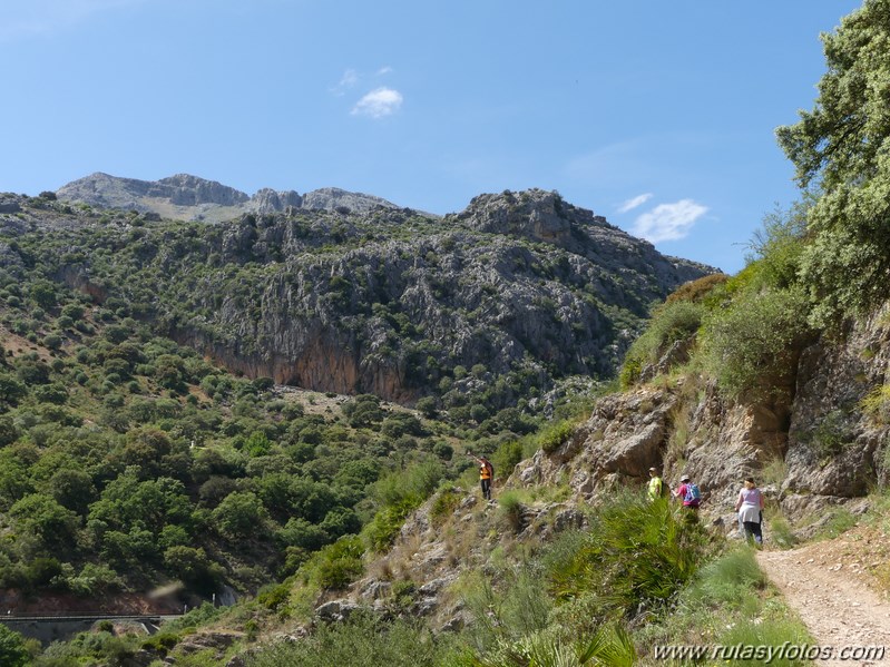 Estación de Cortes - Estación de Benaoján por el sendero del río Guadiaro