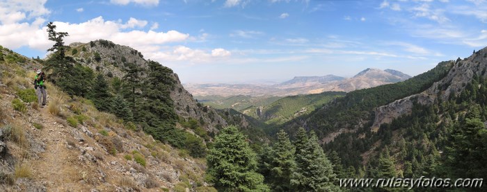 Area recreativa los Sauces - Peñón de Ronda