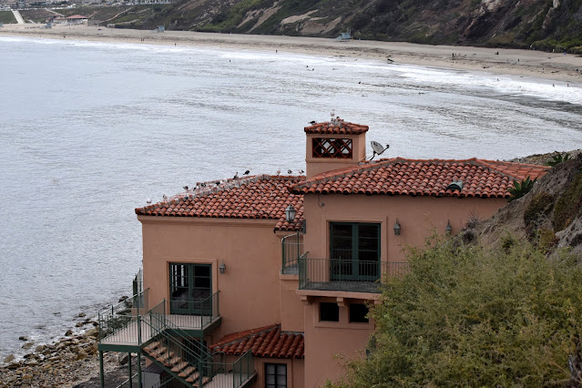 Seagulls atop the clubhouse, enjoying ocean view at Palos Verdes Beach and Athletic Club