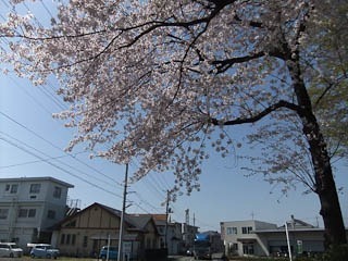 033dev-DSCF0122