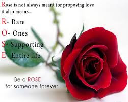   Latest HD Rose Day Quote IMAGES Pics, wallpapers free download 44