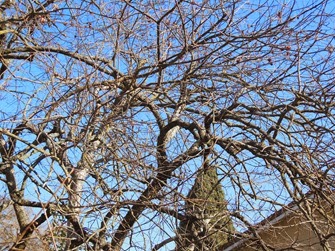 DSCN9571