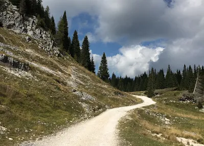 Le strade bianche in località Malga Moline