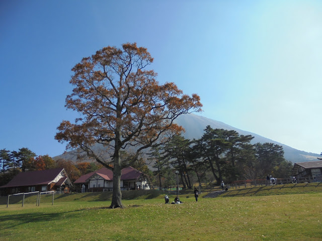 大山牧場みるくの里