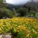 View album