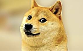 Doge coin is again high