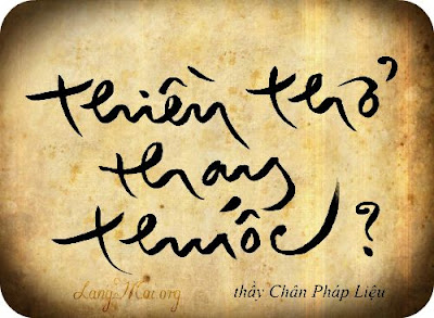 xóm gạo lứt, chân pháp liệu, thiền thở, chánh niệm, dạ lai hương, Giảm Stress Bằng Chánh Niệm