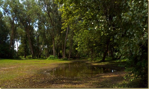 2010-07-08 - IA, on the Road - Little Sioux - Woodland Campground1014