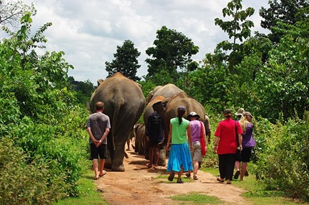 Surin - 20-26th Sep 2010-2