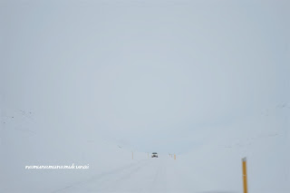 冬　東部　アイスランド　雪景色　道路　真っ白　ドライブ　車　運転　交通量　対向車