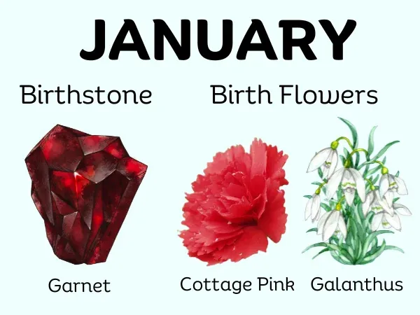 January Month Birthstone and Birth Flower