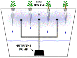 the aeroponic system is probably the most high tech type of hydroponic ...