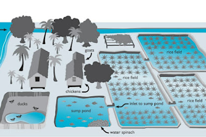 Pendekatan Pengelolaan Perikanan Budidaya Berbasis Ekosistem (ecosystem Approach to Aquaculture)