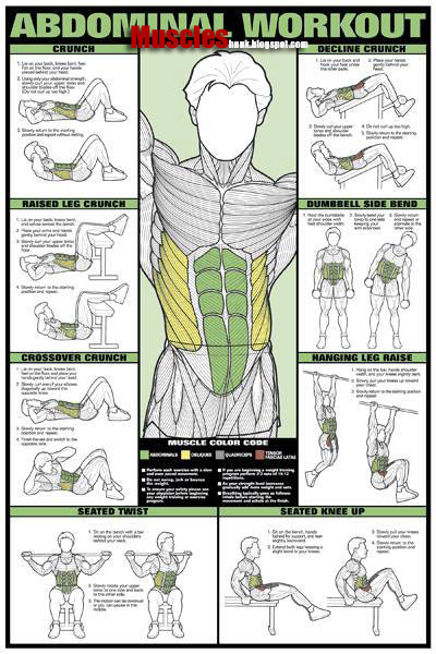 Bodybuilding Chest Exercises Chart