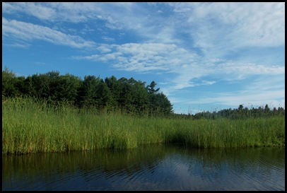 Northeast Creek 037