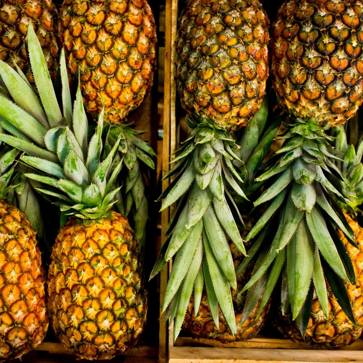 Benefits of Dried Pineapples – A tropical treats from Nigeria