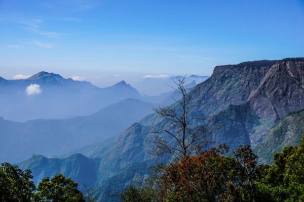 ನೀಲಗಿರಿ ಪ್ರವೇಶ: ಕೇರಳ, ಕರ್ನಾಟಕದ ಪ್ರವಾಸಿಗರಿಗೆ ಇ-ಪಾಸ್ ಕಡ್ಡಾಯ