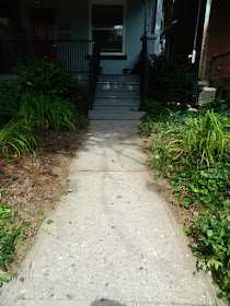 Little Italy Front Garden Clean up after by Paul Jung Gardening Services Toronto