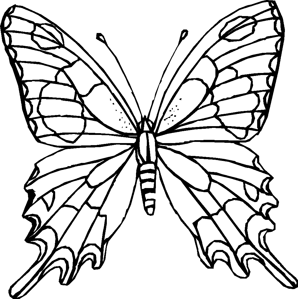 White Butterfly Coloring Pages To Print BEDECOR Free Coloring Picture wallpaper give a chance to color on the wall without getting in trouble! Fill the walls of your home or office with stress-relieving [bedroomdecorz.blogspot.com]
