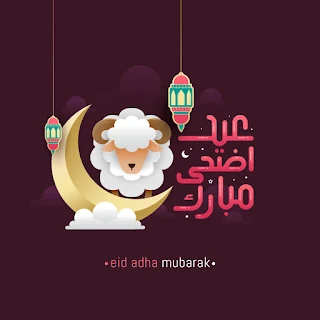 صور عيد الاضحي