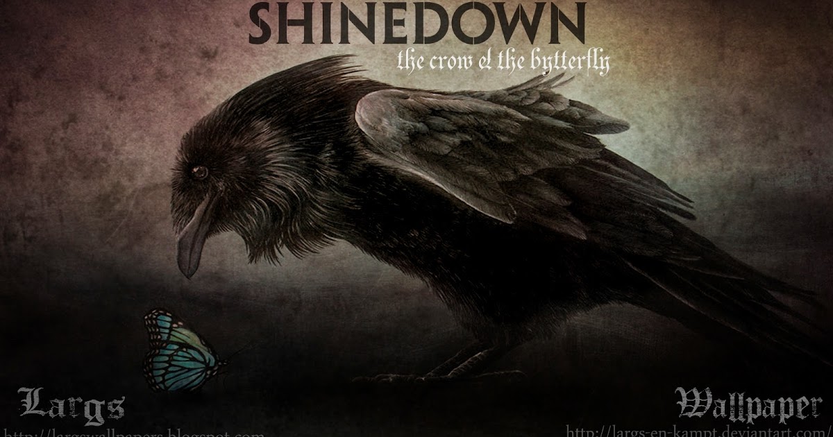 Shinedown - Attention Attention (Walmart Exclusive) (CD) - Walmart.com