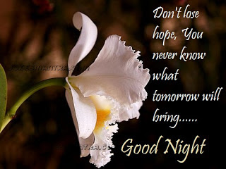 Good Night Quotes