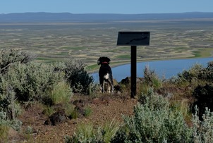 Abby checking out the Warner Valley Overlook