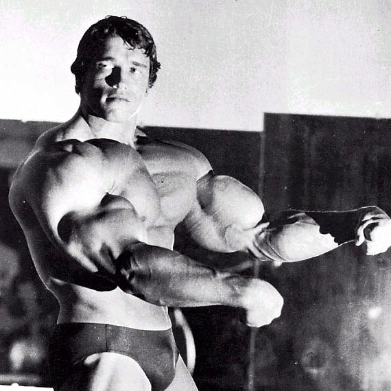 arnold schwarzenegger 2011 body. of Arnold Schwarzenegger#39;s