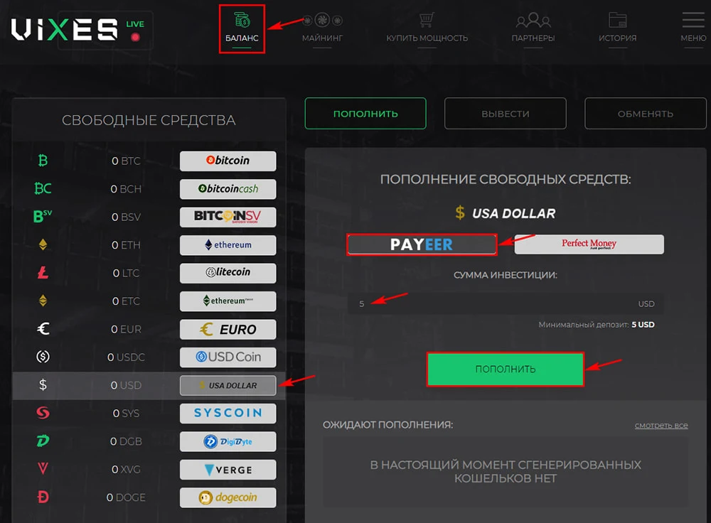 Пополнение баланса в Vixes