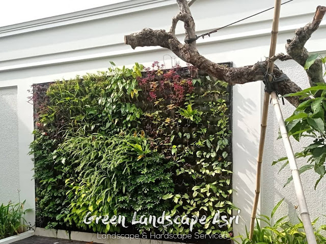 Jasa Pembuatan Vertical Garden Bandung Harga Pemasangan Taman Vertikal Bandung