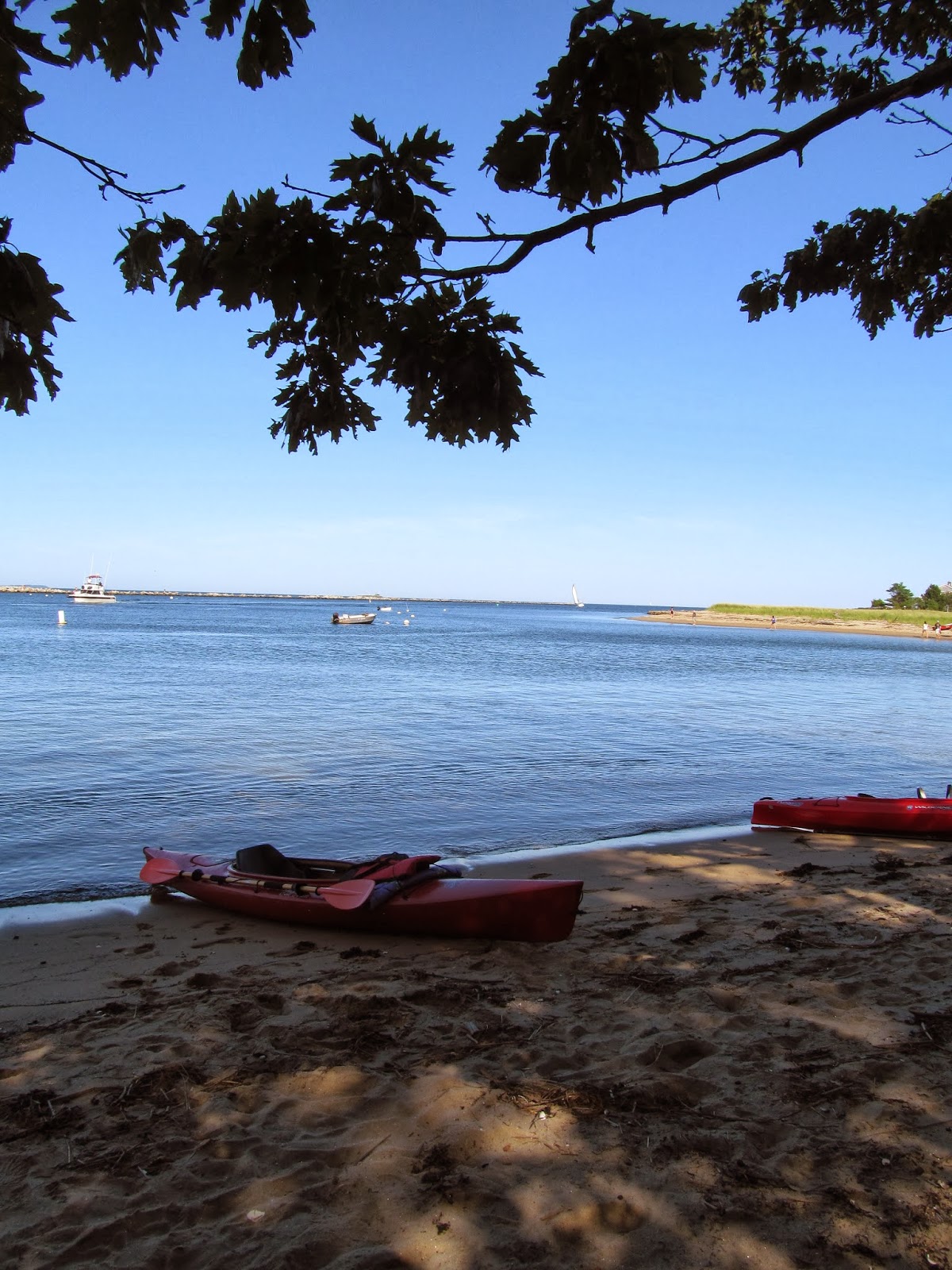 recreational kayaking in maine: saco river, biddeford, maine