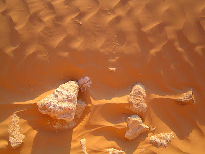 sand skeleton sahara