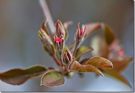 _MG_0716_edited-1