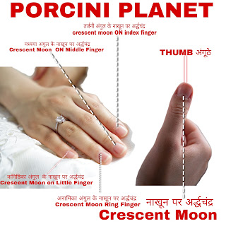 अंगुल के नाखून पर बनने वाले अर्धचंद्र के बारे में जानकारी प्राप्त करते हैं। Get information about the crescent moon formed on the fingernail.
