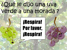 HUMOR: QUE LE DIJO UNA UVA VERDE A UNA MORADA