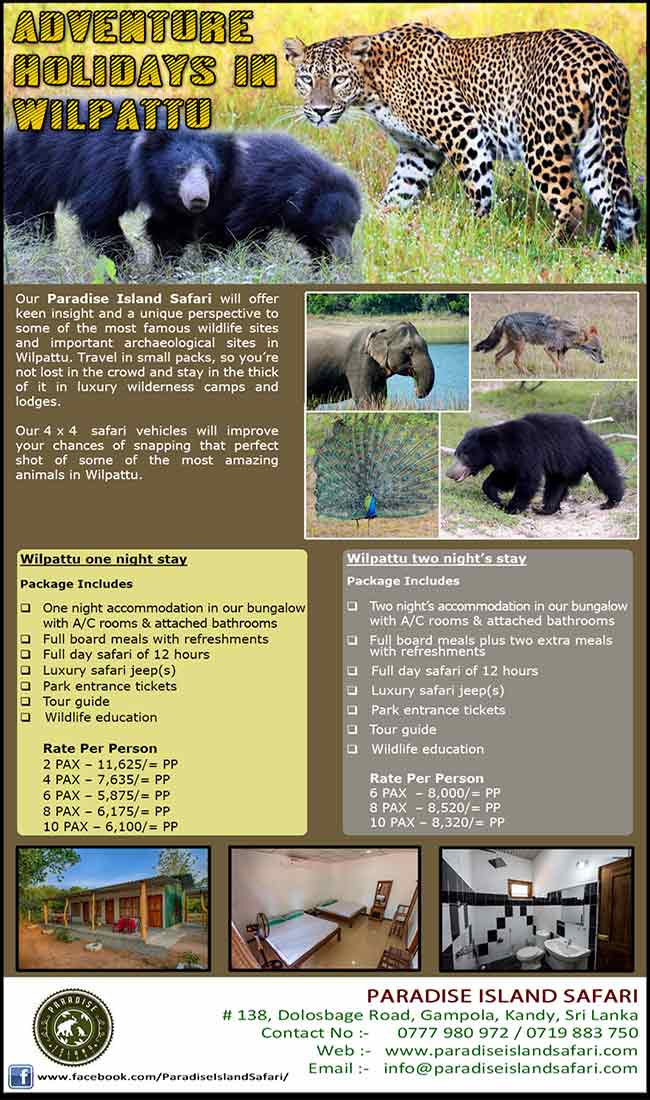 Wildlife holidays in Wilpattu | Paradise Island Safari.