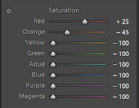 HSL Panel in The 300 Look: A Lightroom 4 Tutorial by Dakota Visions Photography LLC www.seeyoubehindthelens.com