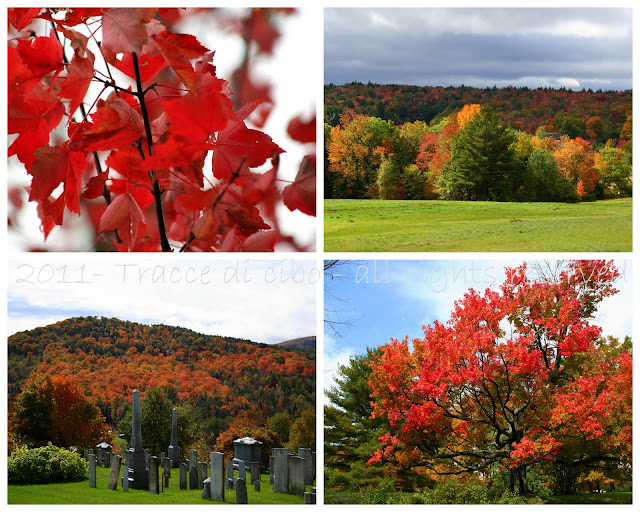 foliage, vermont, sciroppo d'acero