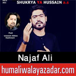 https://aliwalayazadar.blogspot.com/2020/09/najaf-ali-nohay-2021.html
