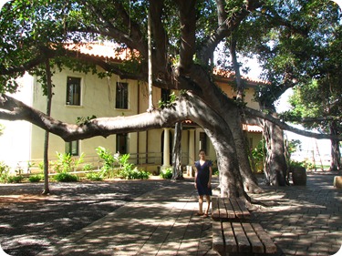 2010-11-30 Maui_LaHaina 010 (2)