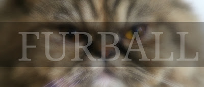 http://www.theninjaphotography.com/2016/10/furball-female-persian-cat-in-makati.html